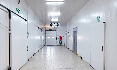 Dịch vụ cho thuê kho lạnh